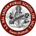 S.S Bal SadanPublic School