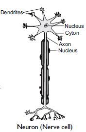 MBD_SR_Class10_Sci_Ch7_114
